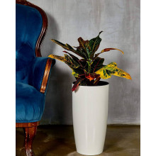 Висока саксия АЛФА 