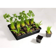 Комплект за разсад