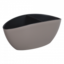 Саксия Кану какао