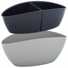 Саксия Кану какао