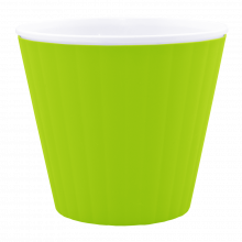 IBIS double bottom pot 15.7x13.0 cm