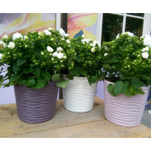 Ниска саксия ФЮЖЪН   с дренаж