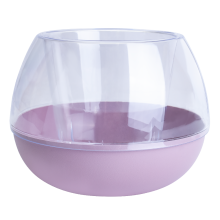 Саксия Сфера d10  прозрачен фрезия