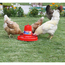 Поилка за птици