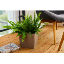 Low flowerpot QUADRO low 27*27*26cm