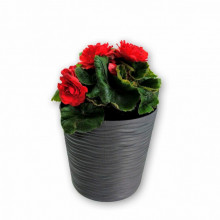 Ниска саксия ФЮЖЪН  гранит