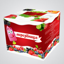 Форми за сладолед с поставка кутия