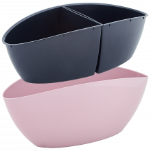 Саксия Кану фрезия