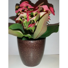 Кашпа МАТИЛДА  мока гланц