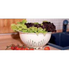 Пластмасов ГЕВГИР