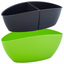 Саксия Кану олива