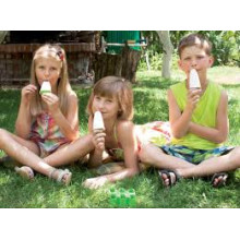 Форми за сладолед с поставка