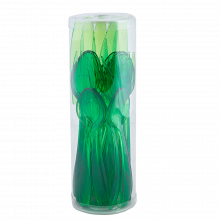 Комплект прибори за 6 човека 25 части зелен прозрачен