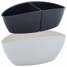 Саксия Кану бяла роза