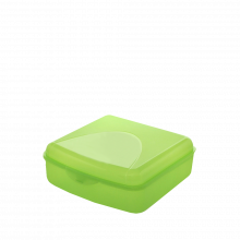 Контейнер универсален L светло зелен прозрачен