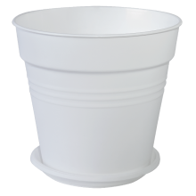 Саксия ГЛОРИЯ с подложка 23,1x22,1см