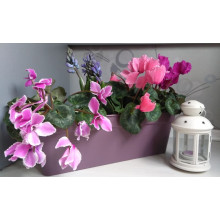 Сандъче ГЛОРИЯ 40,0х18,0 см