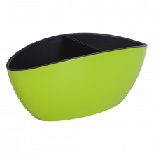 Саксия Кану олива